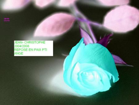 1 ange s'en est all�